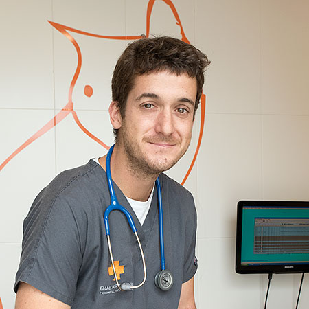 Javier Marcos de los Ríos